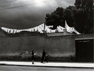 Image description is not available for 1996.019